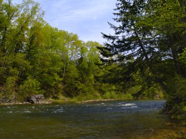 Kereste Nehri