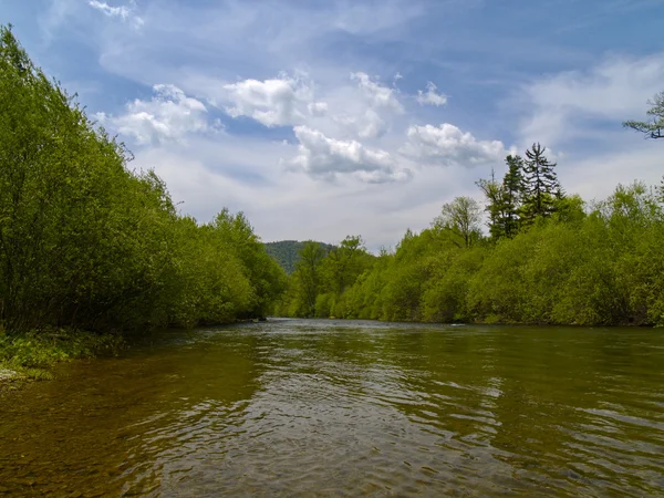 Στον ποταμό ξυλείας — Φωτογραφία Αρχείου