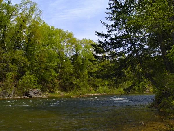 El río Timber — Foto de Stock