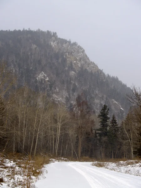 Sihote Grzbiet górski-alin — Zdjęcie stockowe