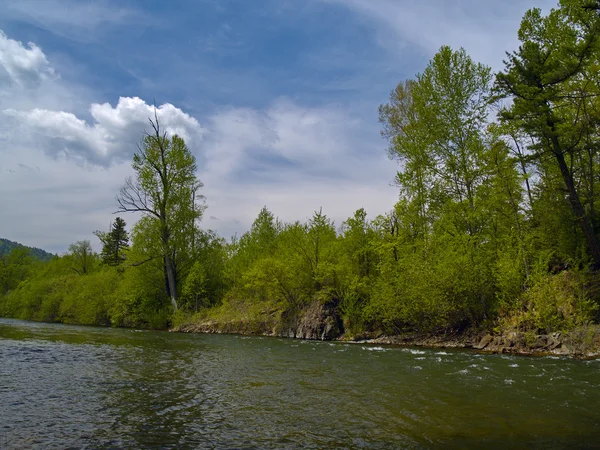 목재 강 — 스톡 사진