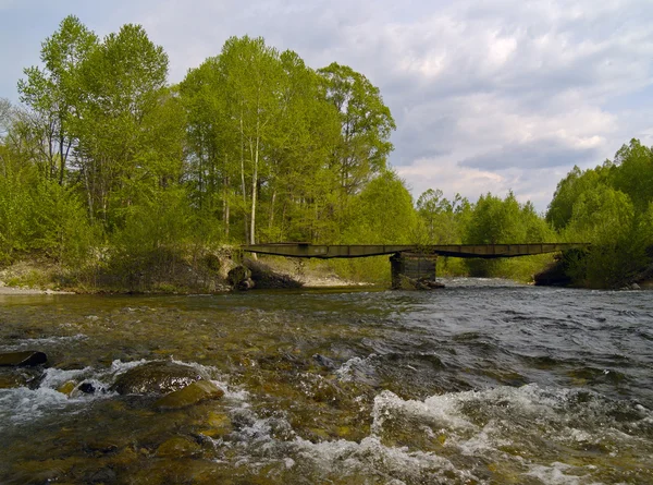 Il ponte attraverso il fiume legname — Foto Stock