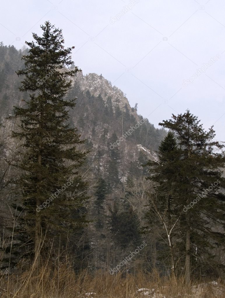 Mountain ridge Sihote-Alin
