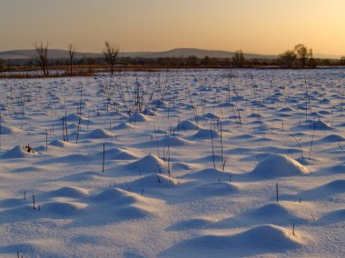 Winter bog clipart