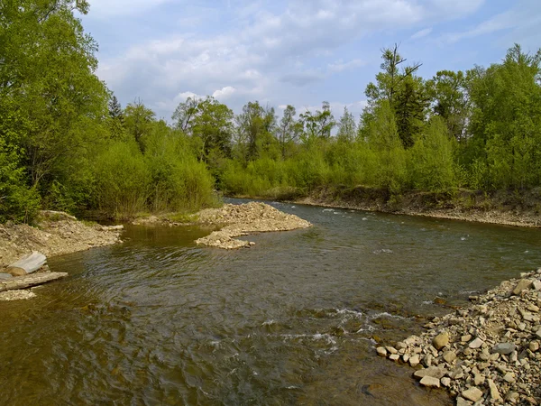 Floden timmer — Stockfoto