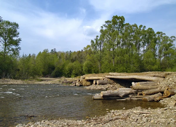 The Bridge through timber river — Stock Photo, Image