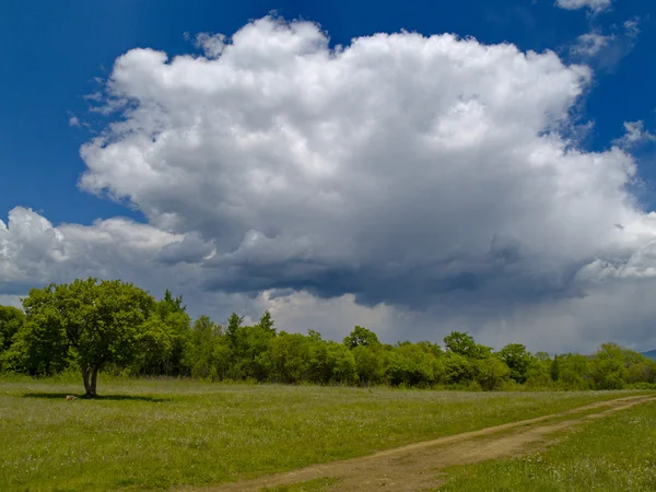 Krajobraz lato z chmura deszcz — Zdjęcie stockowe