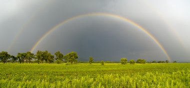 Rainbow üzerinde yeşil alanlar