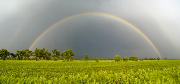 Regnbue på grønne jorder – stockfoto