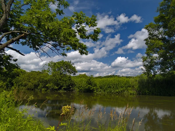 Das Jahr Landschaft Ufer Teich — Stockfoto