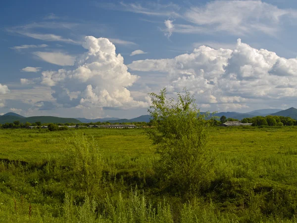 Зеленый луг и облачное небо — стоковое фото