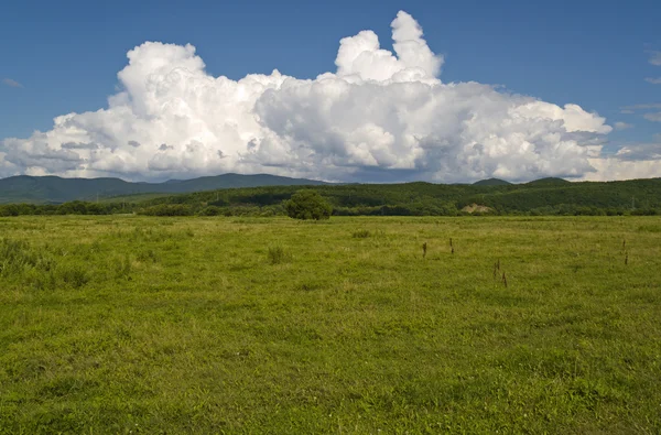 年緑の草原と曇り空 — ストック写真