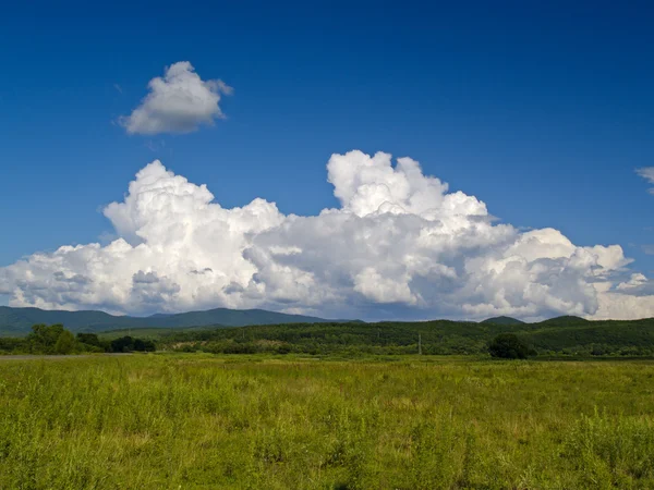 Пейзаж с зеленым холмом — стоковое фото