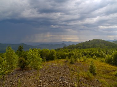 sırt üzerinde çeşit sihote-alin, Rusya Federasyonu