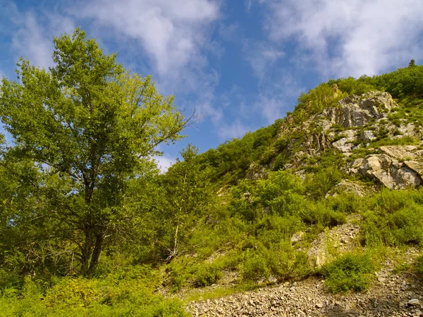 Каменная наклонность горы — стоковое фото