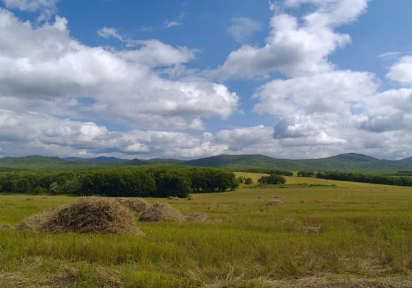 Temizlenmiş alanlarda saman yığınları — Stok fotoğraf