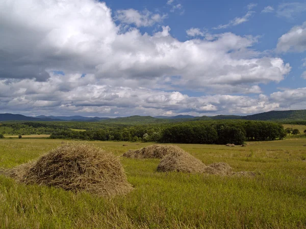 Temizlenmiş alanlarda saman yığınları — Stok fotoğraf