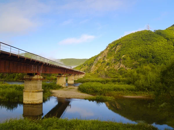 Bir dağ yamacında demiryolu köprüsünde — Stok fotoğraf