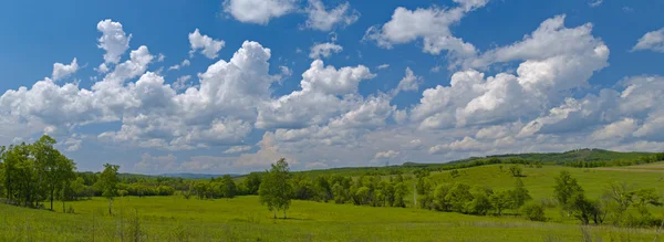 Landscape with meadow and cloudy sky Royalty Free Stock Photos