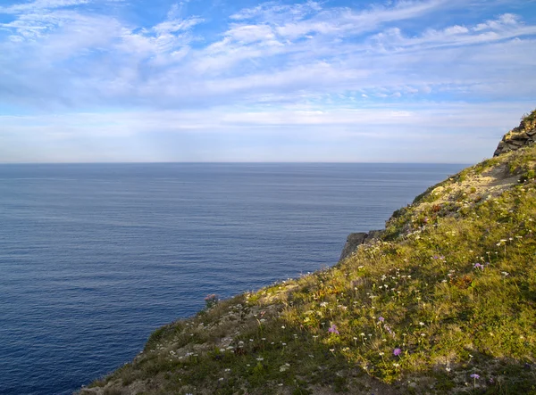 Yüksek deniz kıyısı — Stok fotoğraf