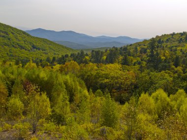 Yaz dağı manzarası