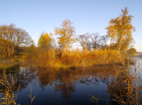 Otoño día soleado en el lago de madera — Foto de Stock