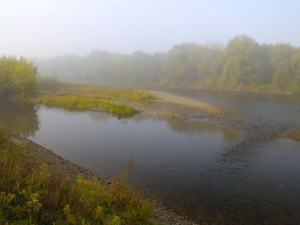 Πρωινή ομίχλη του ποταμού — Φωτογραφία Αρχείου
