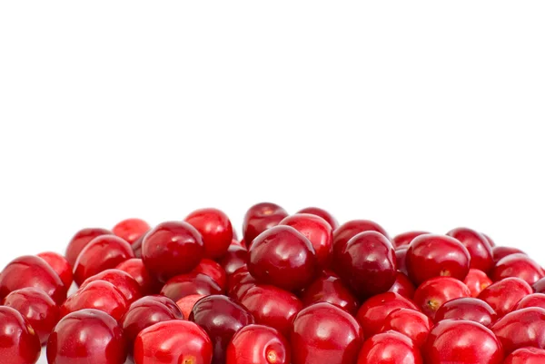 Куча красной вишни без стеблей — стоковое фото