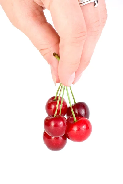 Hand carrying few red cherries — Stock Photo, Image