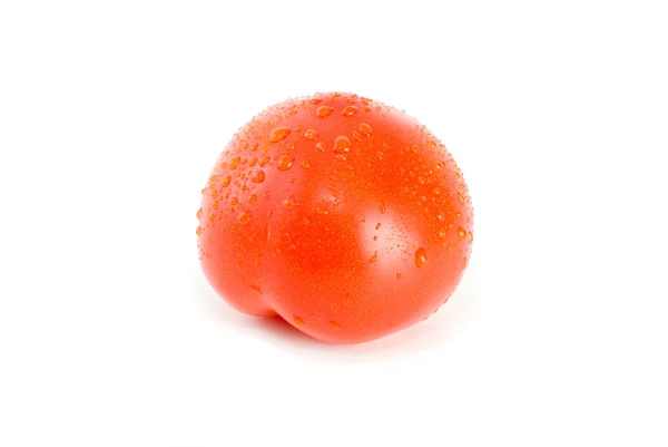 Jediné zralé rajče s kapkami vody — Stock fotografie