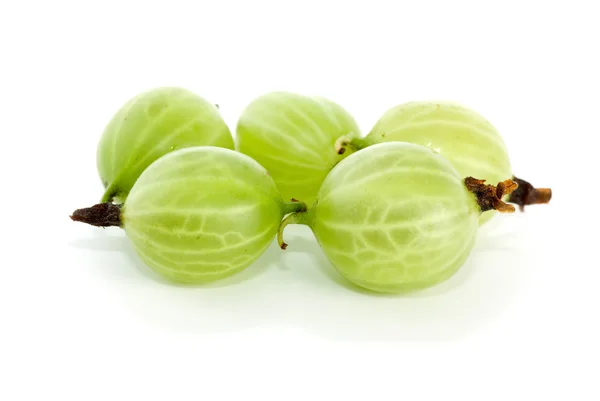 Primo piano di poche bacche d'uva spina — Foto Stock