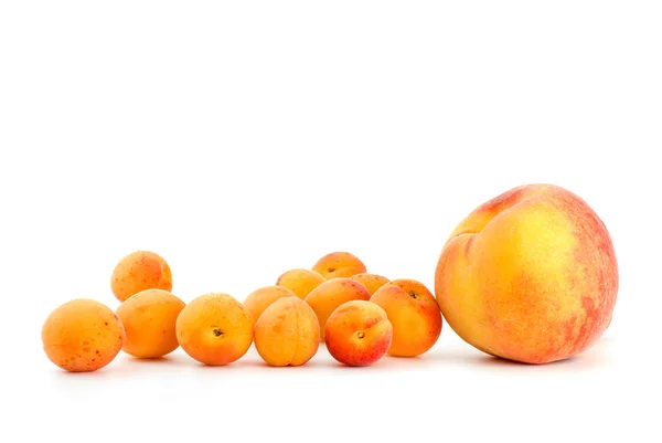 Один персик і кілька абрикосів — стокове фото