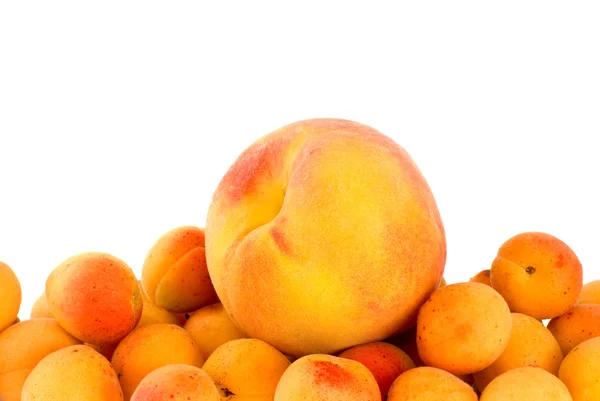 One peach over the pile of apricots — Stock Photo, Image