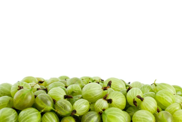 Mucchio di uva spina verde — Foto Stock