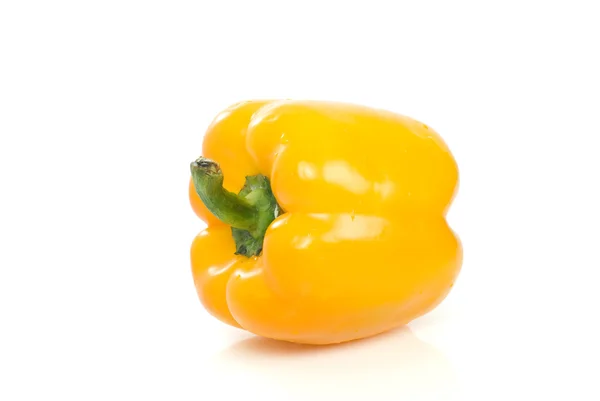 单个黄色甜椒 — 图库照片