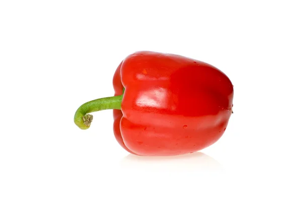 Single red sweet pepper — Zdjęcie stockowe
