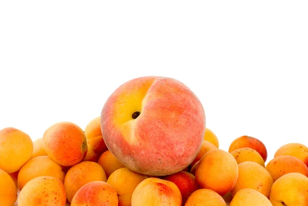 Red peach over the pile of apricots — Stock Photo, Image