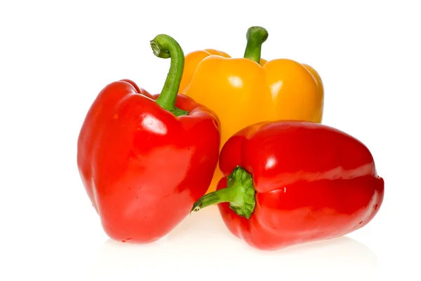 Drie paprika — Stockfoto