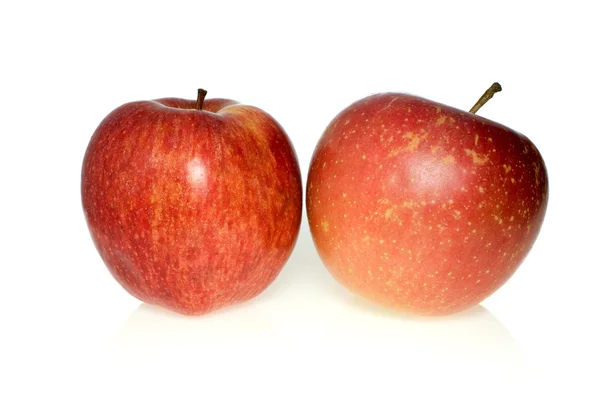 Δύο κόκκινα μήλα από διαφορετικές φυλές — Φωτογραφία Αρχείου