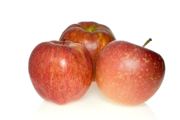 Τρία κόκκινα μήλα από διαφορετικές φυλές — Φωτογραφία Αρχείου