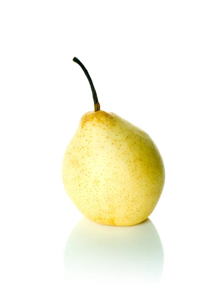 Одиночна жовта китайська груша (я груша ) — стокове фото
