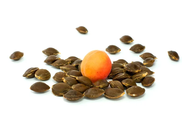 Single apricot over some kernels — Stock Photo, Image