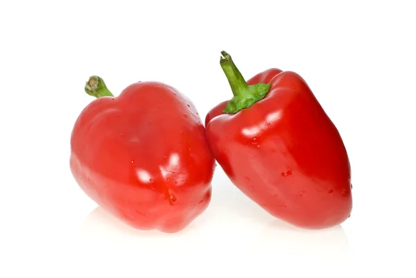 Dvojice červených paprik — Stock fotografie