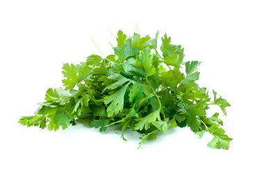 Some parsley clipart