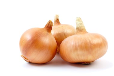 Three onions clipart