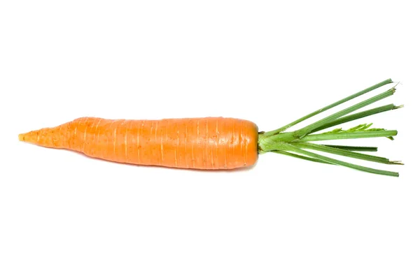 Enkle gulrøtter – stockfoto