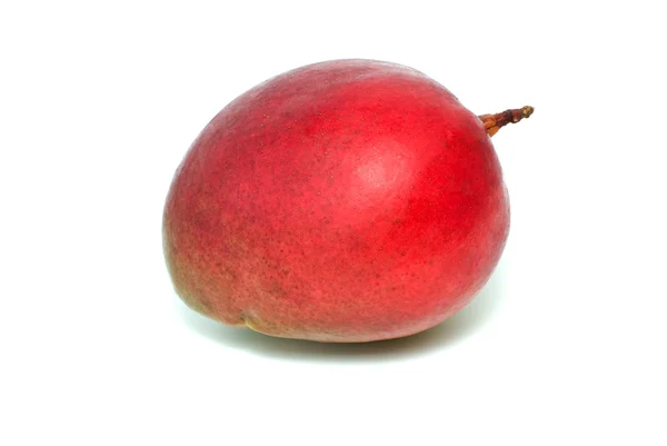 Einzelne rote Mangofrucht — Stockfoto