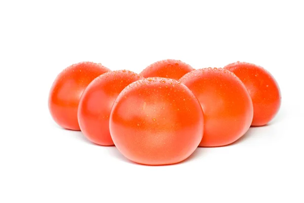 Šest rajčat s kapky vody — Stock fotografie
