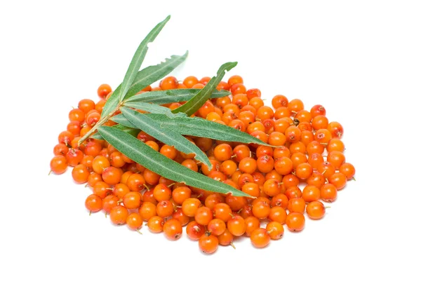 Sea buckthorn berries and leaves — Stock Photo, Image
