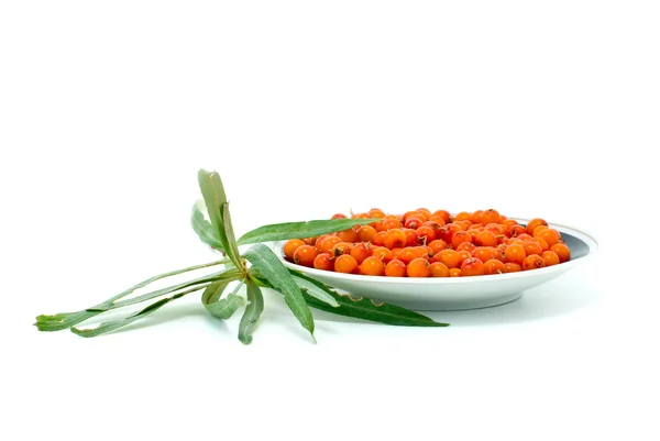 Saucer with sea buckthorn berries — Stock Photo, Image
